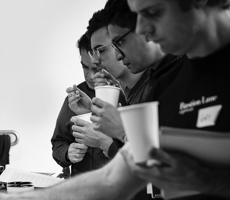CVA Cupping