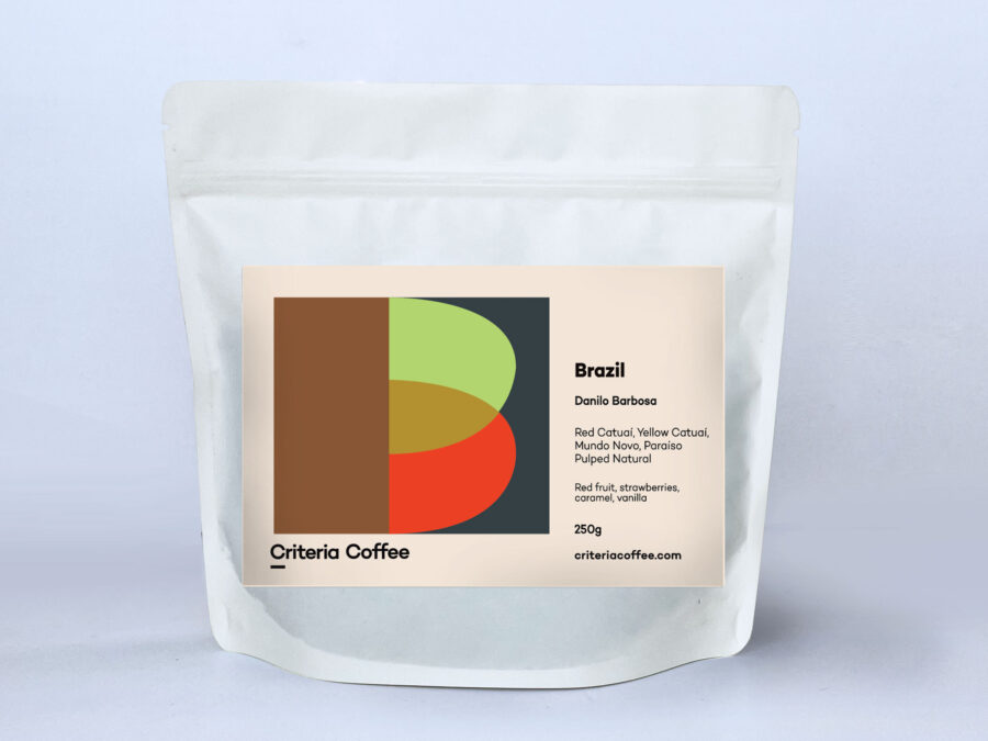 Brazil_Pouch