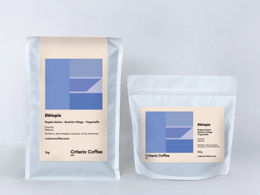 Ethiopia_Bogale Galcha_paired
